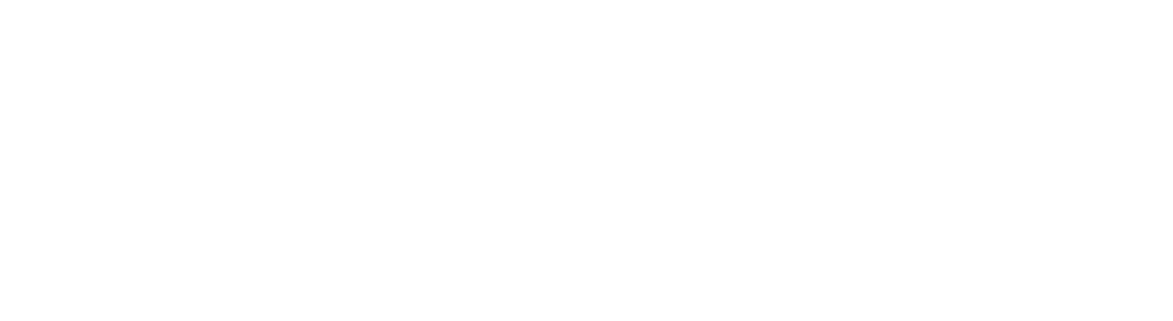 Swiat LOGO Weiss
